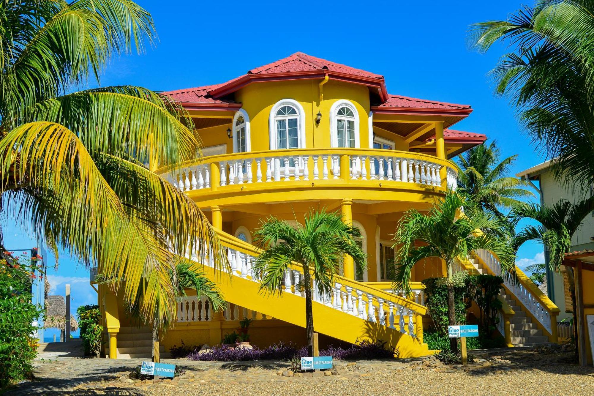Blue Parrot Beach House And Villas Хопкинс Экстерьер фото